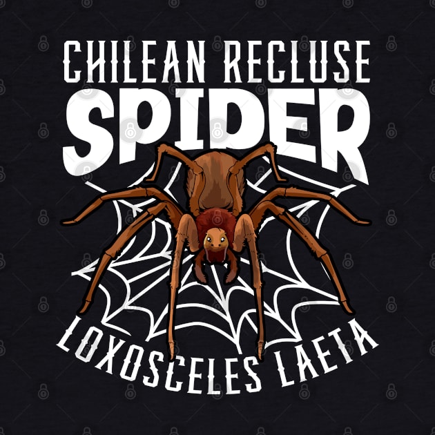 Chilean Recluse Spider by Modern Medieval Design